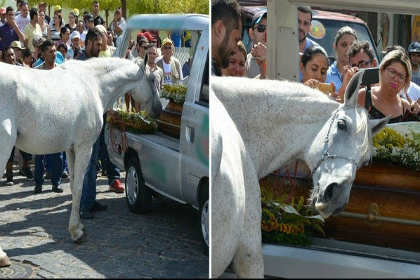 Cavalo se aproxima para dar o último adeus no funeral de seu melhor amigo humano