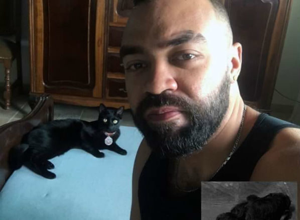 Quando meu cachorro Bob morreu, perto do Natal de 2014, eu sonhei que um gato preto aparecia no meu portão, mas não entrava em casa