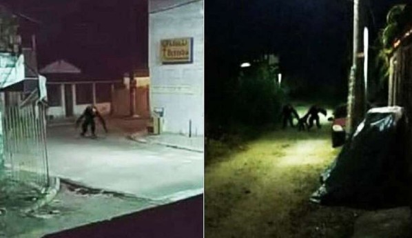 Pânico no Brasil por causa de imagens reais que mostram criaturas aterrorizantes vagando pelas ruas à noite